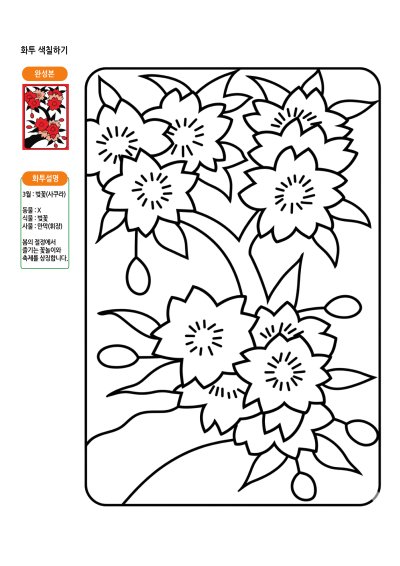 3월 화투 색칠하기 3