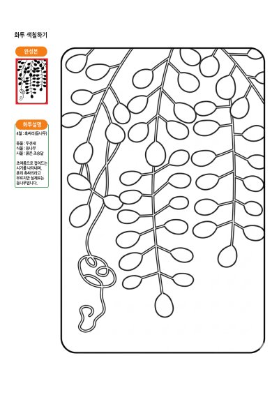 4월 화투 색칠하기 3