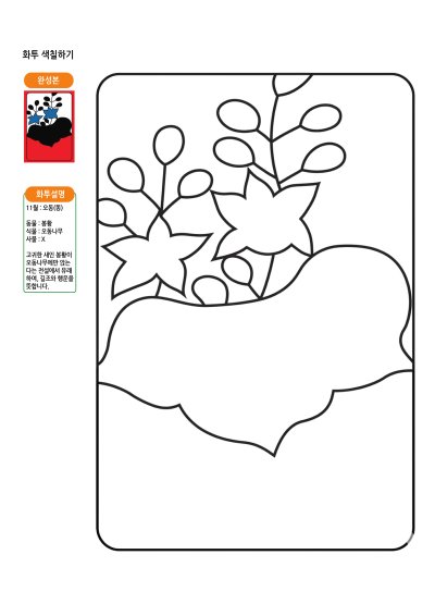 11월 화투 색칠하기 2